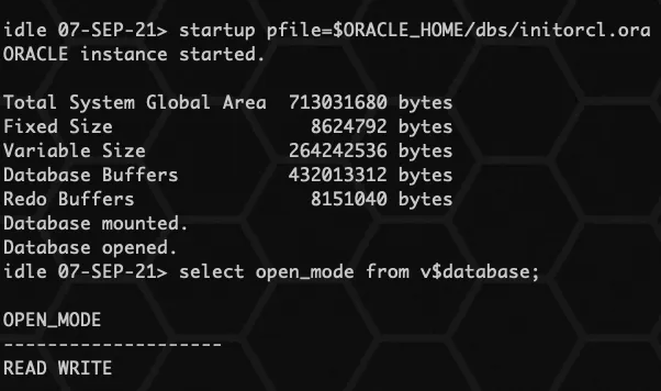 Oracle spfile 参数文件 - 图10