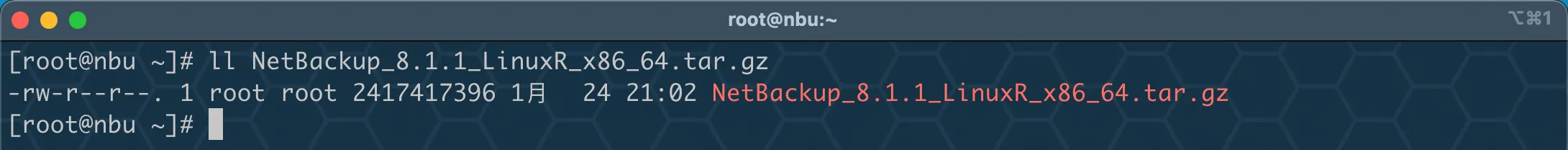 虚拟机玩转 Veritas NetBackup（NBU）之服务端安装部署