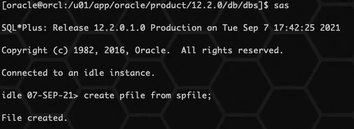 Oracle spfile 参数文件 - 图9