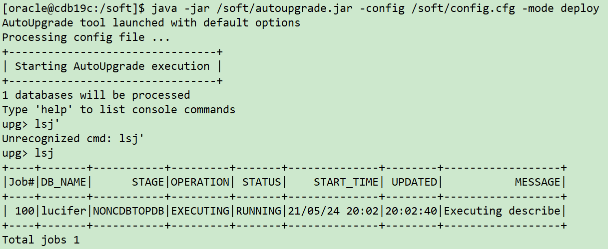 实战篇：AutoUpgrade 便捷高效的升级 Oracle 数据库 - 图15