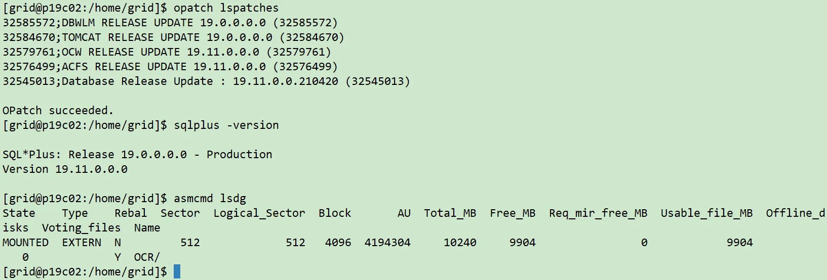 实战篇：Linux7 安装 Oracle 19C RAC 详细图文教程 - 图40