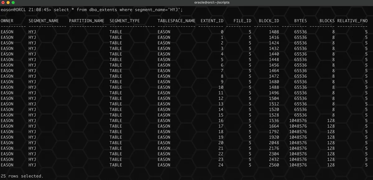 实战篇：Oracle 数据坏块的 N 种修复方式 - 图6
