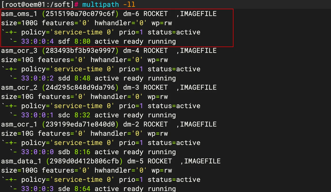 multipath 生效验证