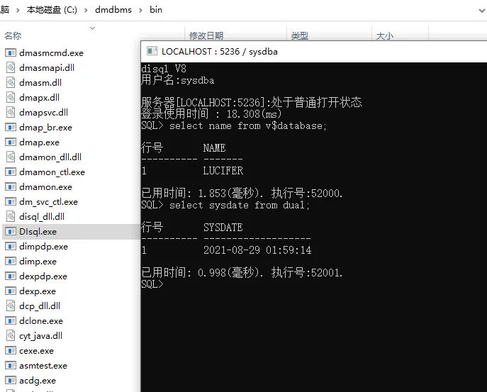 达梦 DM8 数据库安装详细手册（Windows+Linux+Docker） - 图33