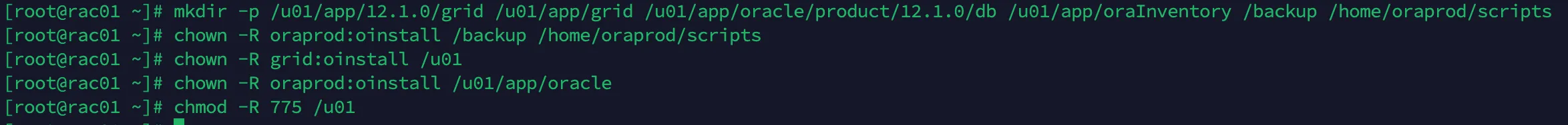 RHEL 7 安装 Oracle 12CR1 RAC 数据库 - 图5