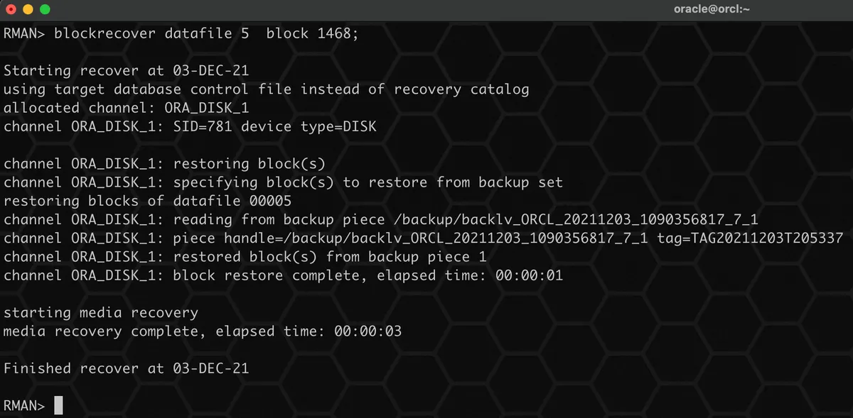 实战篇：Oracle 数据坏块的 N 种修复方式 - 图12