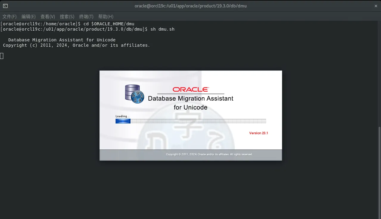 Oracle 修改数据库字符集大法 - DMU 工具 - 图3