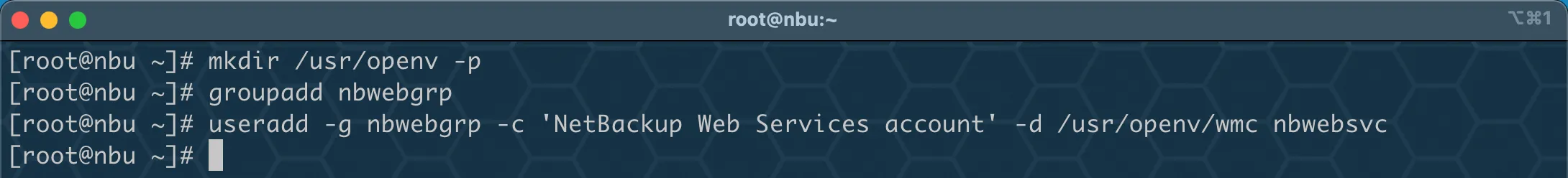 虚拟机玩转 Veritas NetBackup（NBU）之服务端安装部署 - 图3