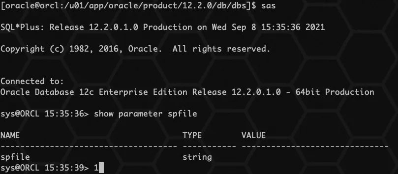 Oracle pfile 参数文件 - 图2