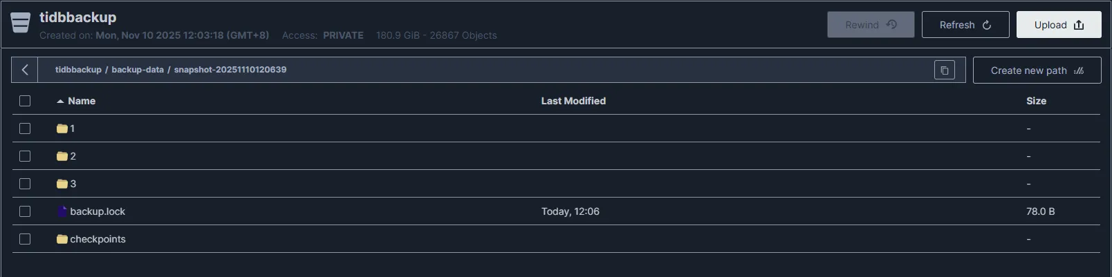 使用 BR 备份 TiDB 到本地 minIO 存储 - 图3