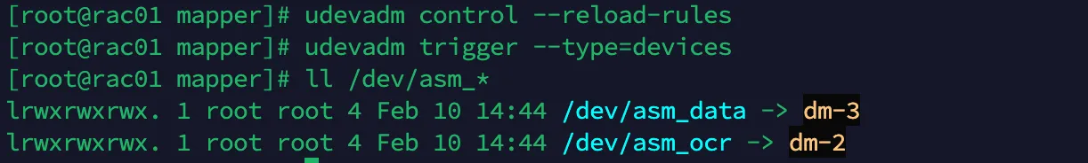 RHEL 7 安装 Oracle 12CR1 RAC 数据库 - 图11