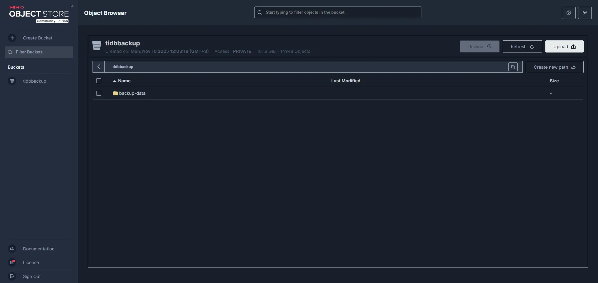 使用 BR 备份 TiDB 到本地 minIO 存储 - 图2
