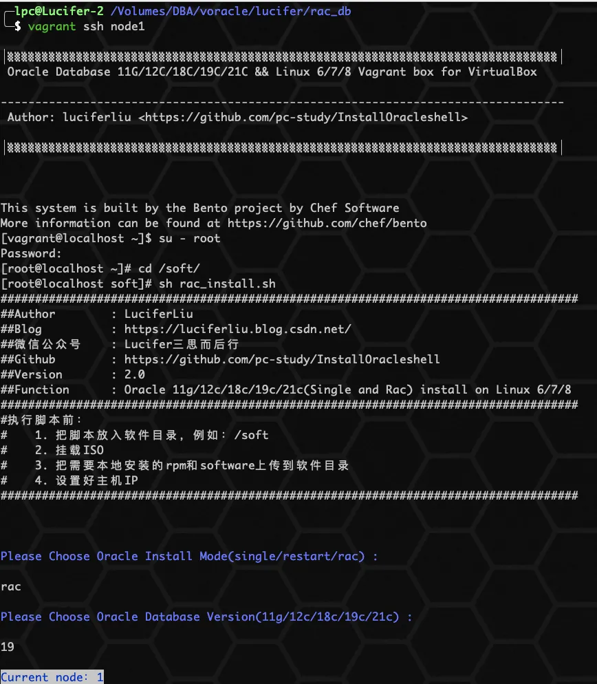 《零基础安装 Oracle 数据库》RAC集群系列 ❹ 简单两步快速安装 Oracle 19C RAC 数据库 - 图5