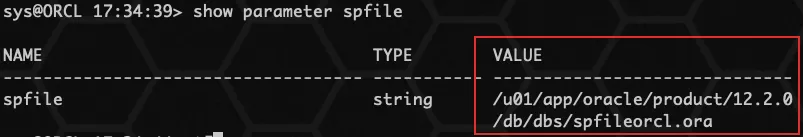 Oracle spfile 参数文件