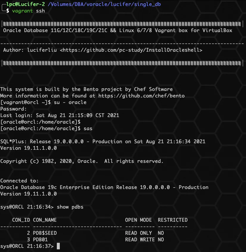 《零基础安装 Oracle 数据库》单机系列 ④ 一键快速安装 Oracle 19C 数据库 - 图5