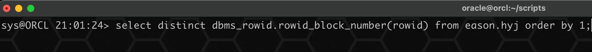 实战篇：Oracle 数据坏块的 N 种修复方式 - 图5