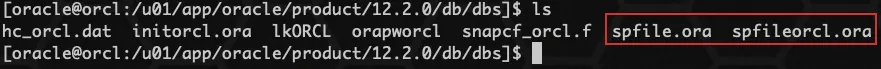 Oracle spfile 参数文件 - 图3