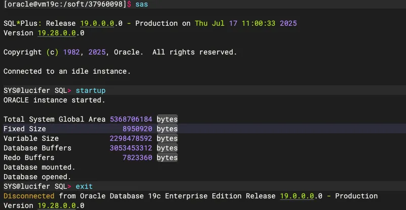 Oracle 19.28 RU 升级最佳实践指南 - 图11