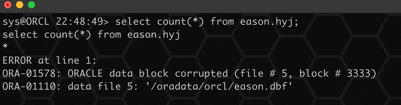 实战篇：Oracle 数据坏块的 N 种修复方式 - 图16