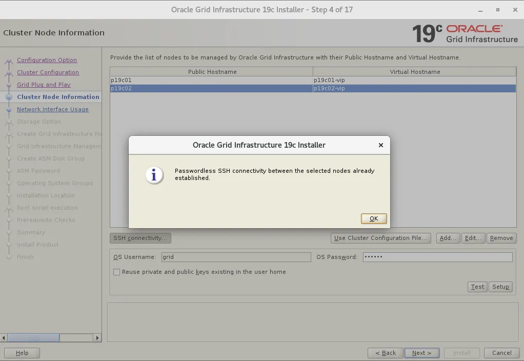实战篇：Linux7 安装 Oracle 19C RAC 详细图文教程 - 图31