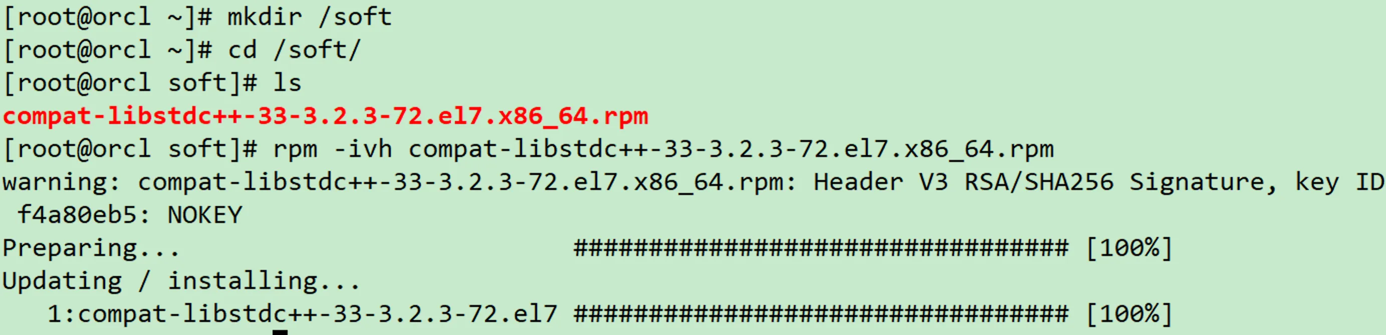 实战篇：Linux 安装 Oracle 11GR2 数据库保姆级教程 - 图7