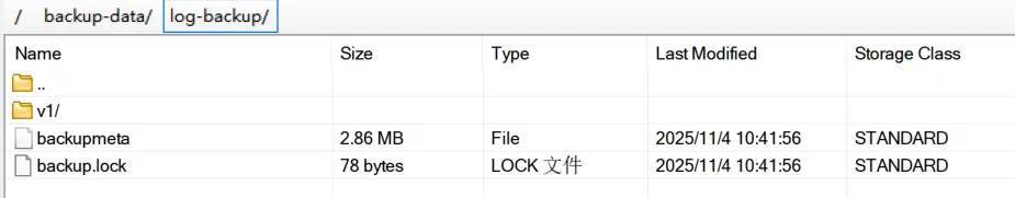 使用 BR 备份 TiDB 到 AWS S3 存储 - 图5