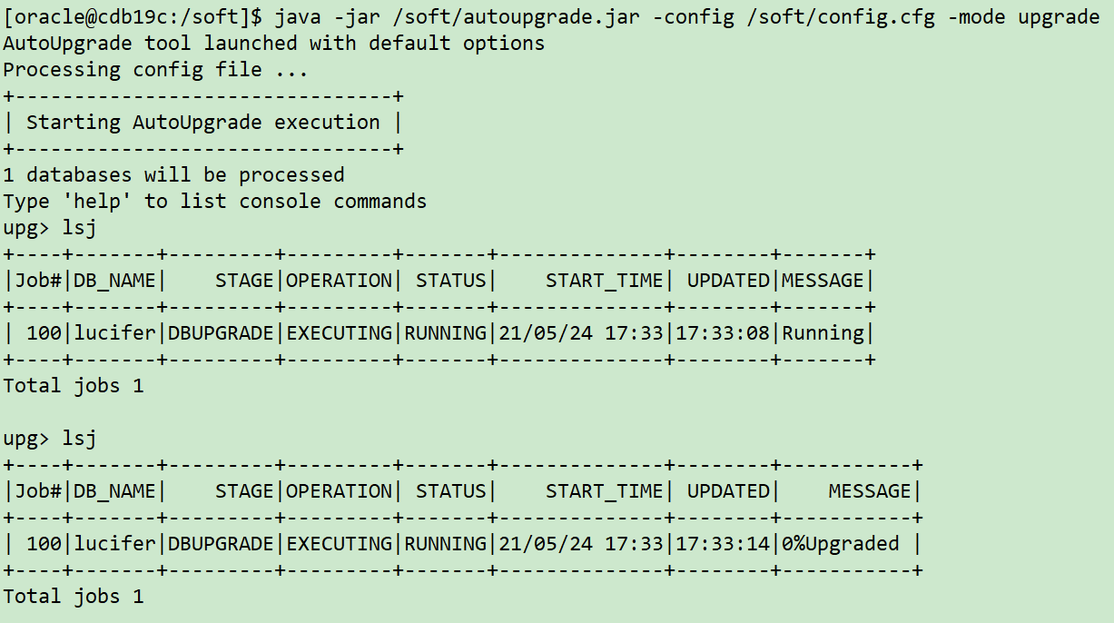 实战篇：AutoUpgrade 便捷高效的升级 Oracle 数据库 - 图9