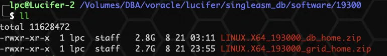 《零基础安装 Oracle 数据库》单机ASM系列 4️⃣ 一键快速安装 Oracle 19C 数据库 - 图2