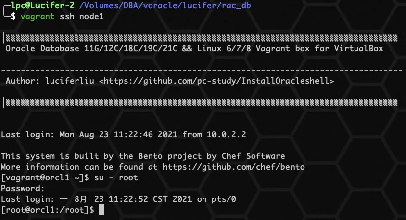 《零基础安装 Oracle 数据库》RAC集群系列 ❹ 简单两步快速安装 Oracle 19C RAC 数据库 - 图7