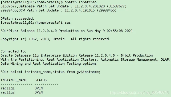 1.5小时，一键部署Oracle 11GR2 RAC 集群 - 图11