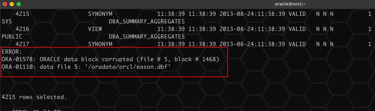 实战篇：Oracle 数据坏块的 N 种修复方式 - 图10