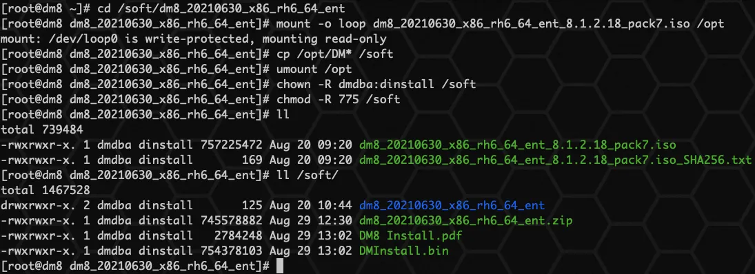 达梦 DM8 数据库安装详细手册（Windows+Linux+Docker） - 图18