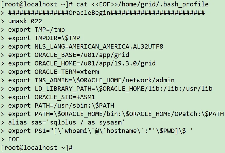 实战篇：Linux7 安装 Oracle 19C RAC 详细图文教程 - 图22