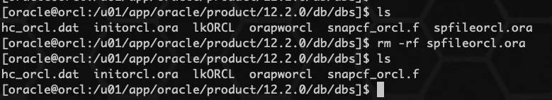 Oracle spfile 参数文件 - 图8